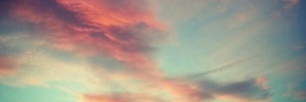 a_spaghetti Profile Banner