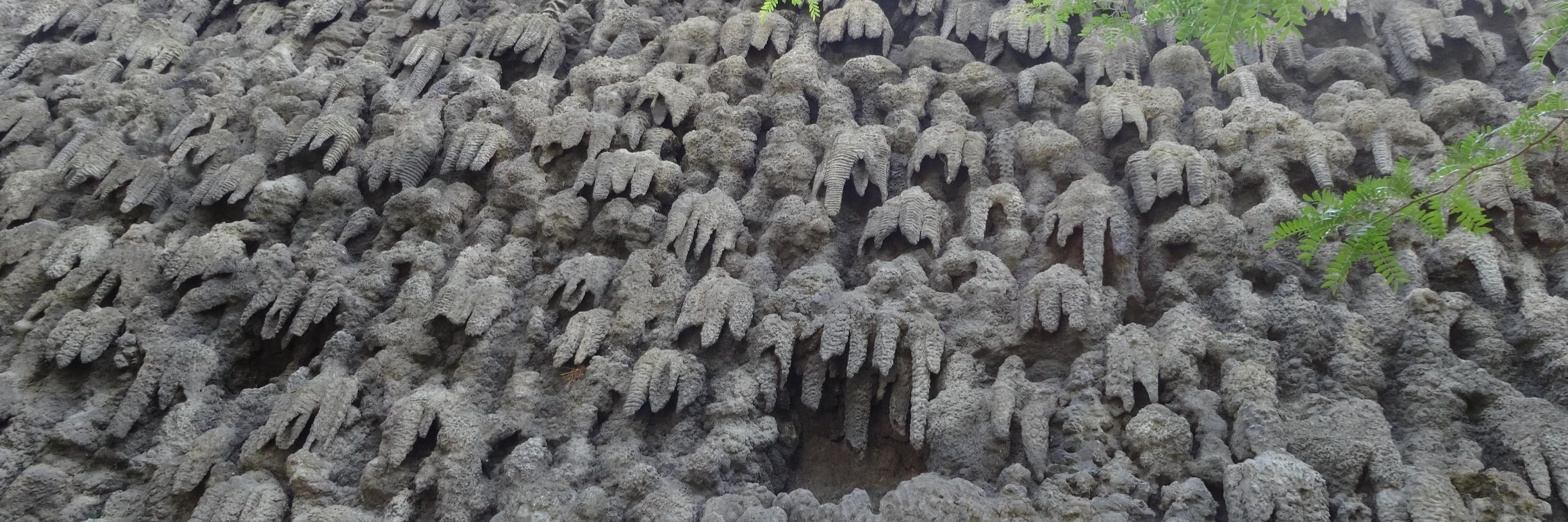 aviamari ▒▓ banner