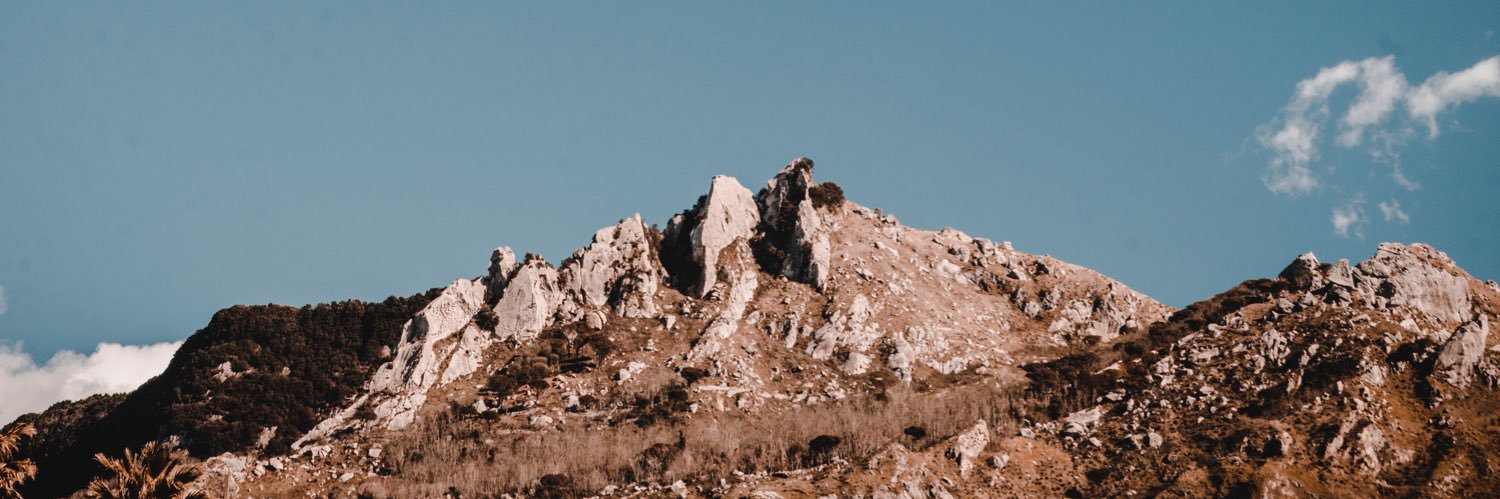 cuttlerzing's profile banner image