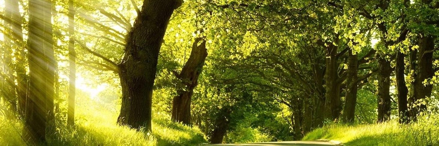 ina_5056's profile banner image