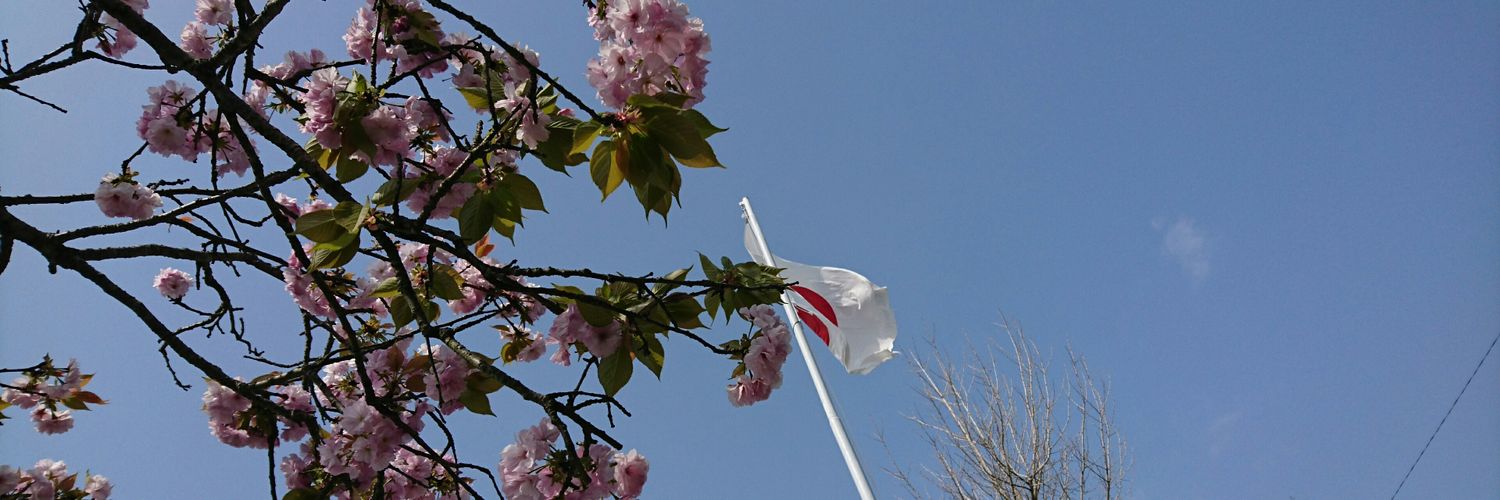 aiaiha23's profile banner image