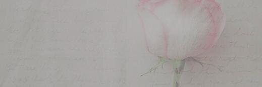 sugallgdr's profile banner image