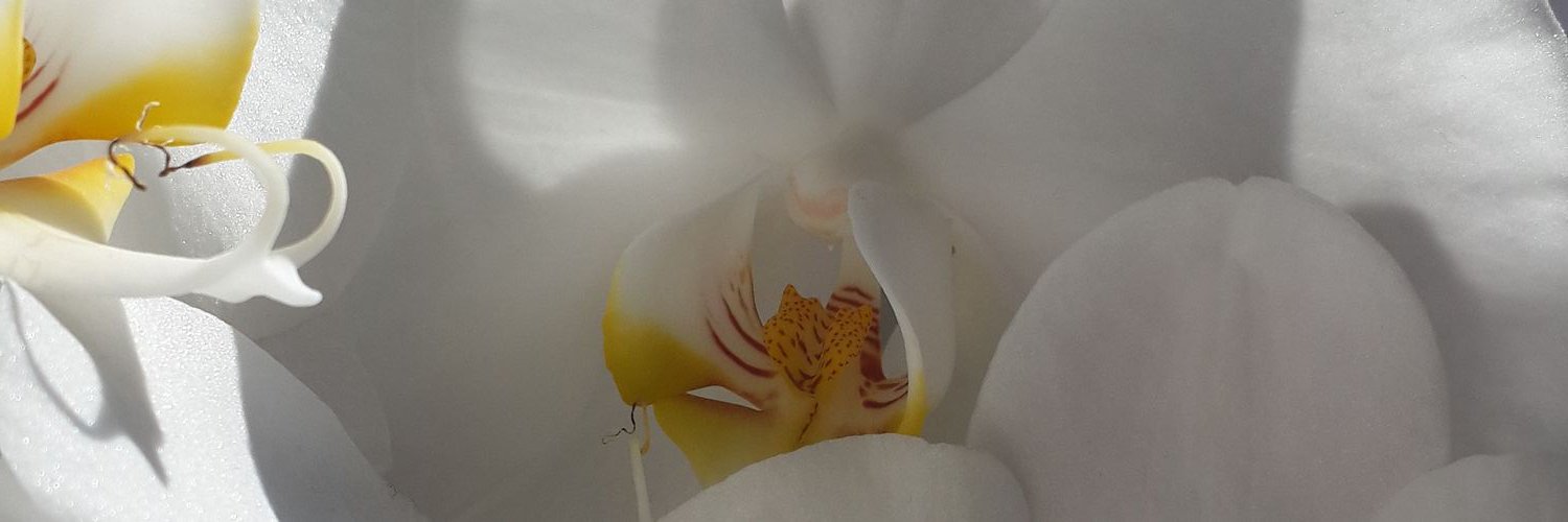 hakanpecel's profile banner image