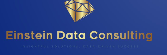 Einstein Data Consulting banner