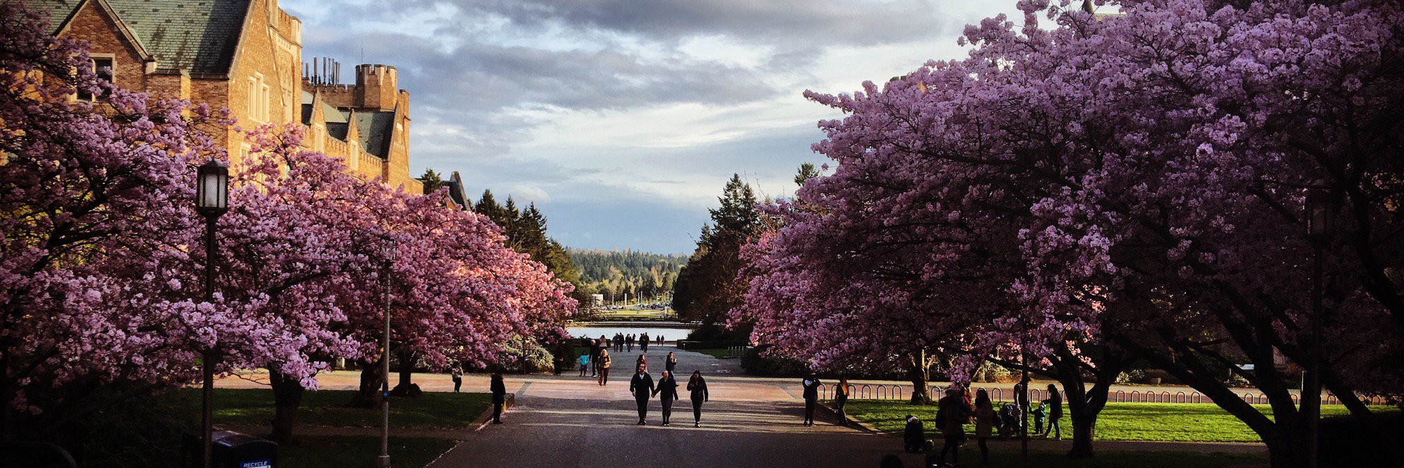 Anne Pepitone banner