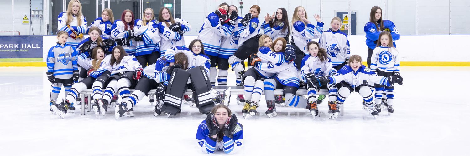 Sheffield Shadows banner