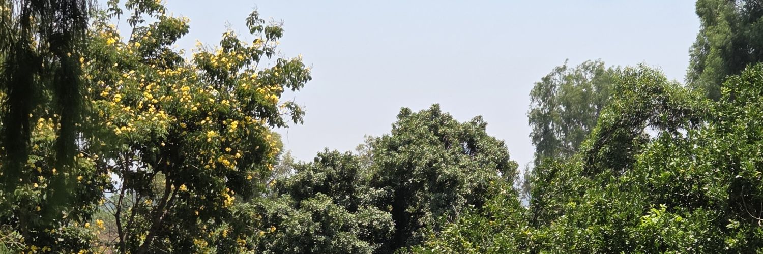 Freddy P 👌🏾 banner