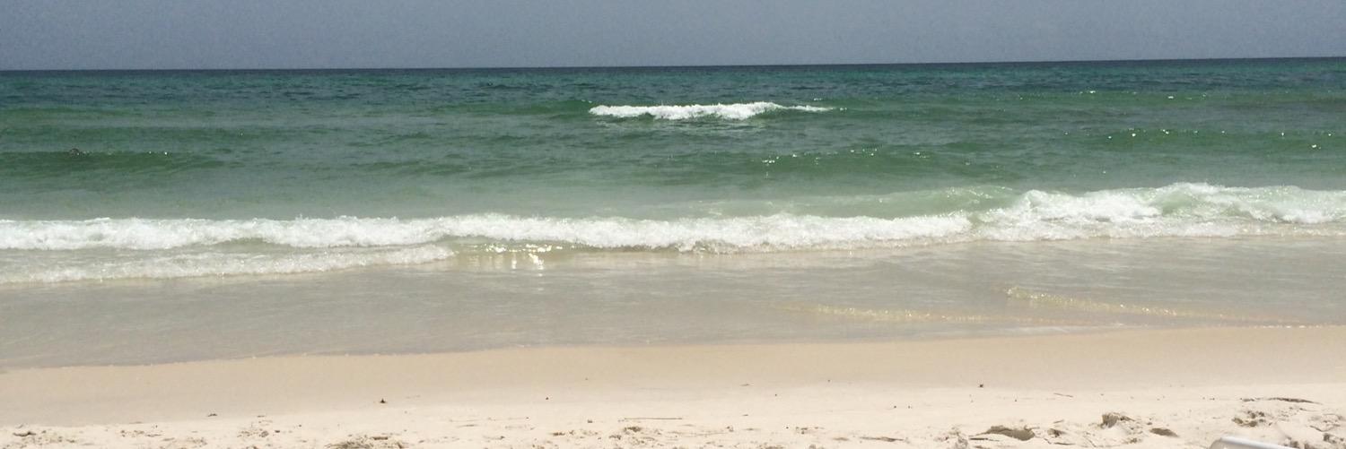 tracibishop's profile banner image