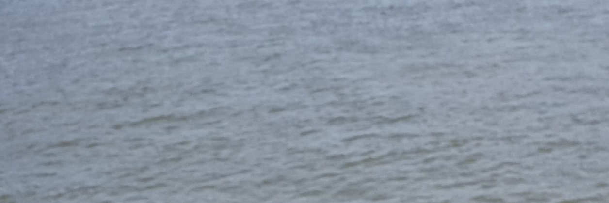 zeuss40's profile banner image