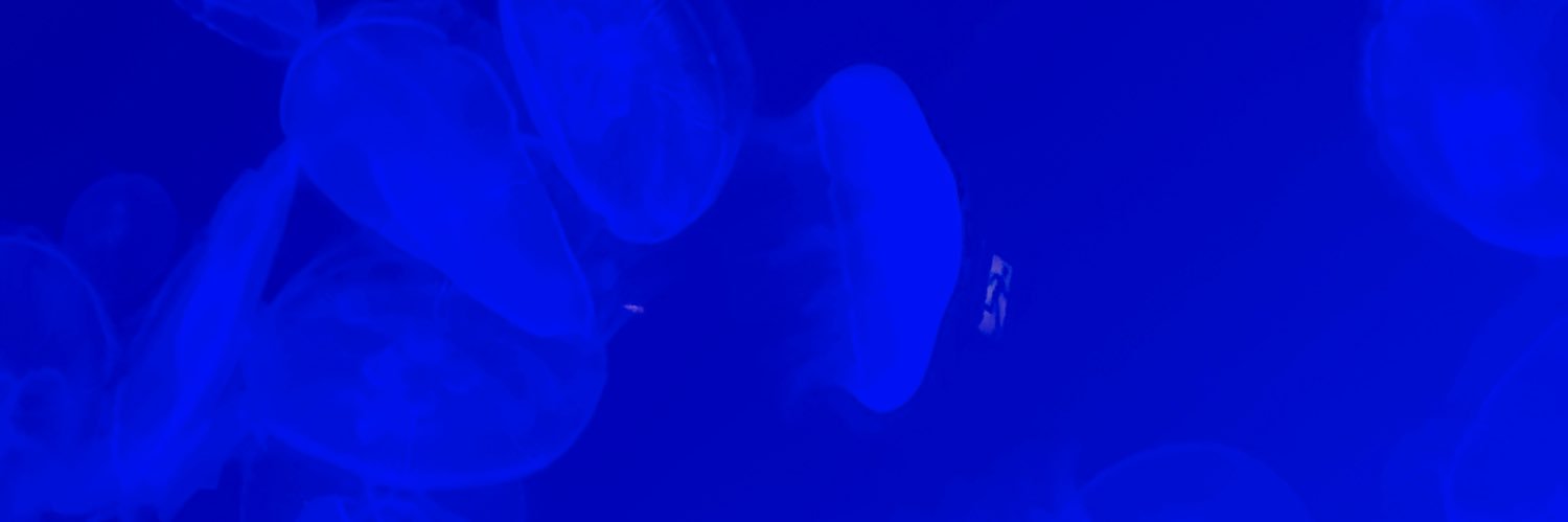 1127Matton's profile banner image