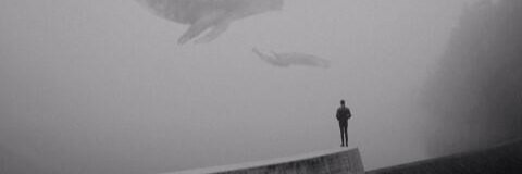 sl_ye's profile banner image