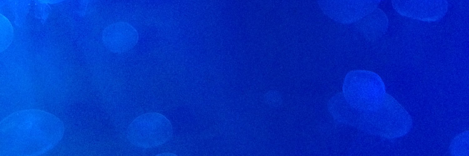 LittleLydd's profile banner image