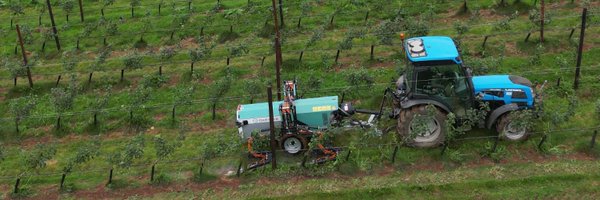 RootWave Profile Banner