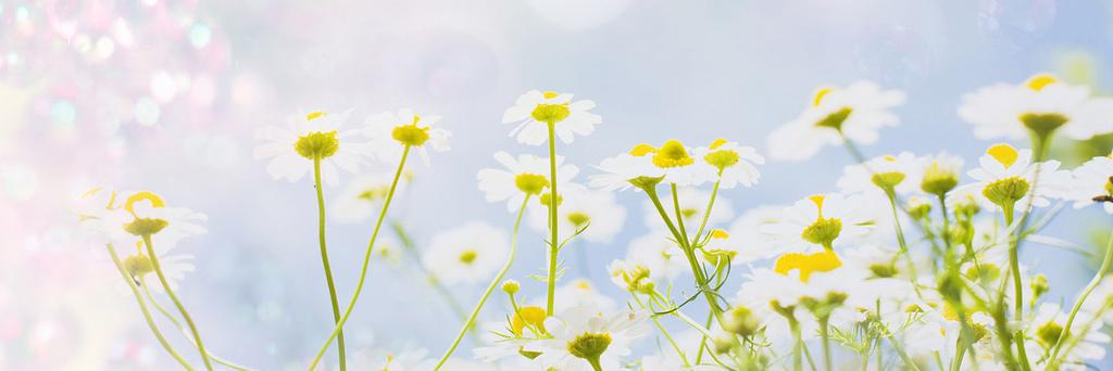 แอคขายของอฟน ♡ banner