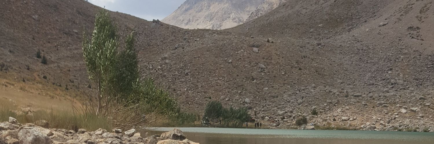 asarigedik's profile banner image