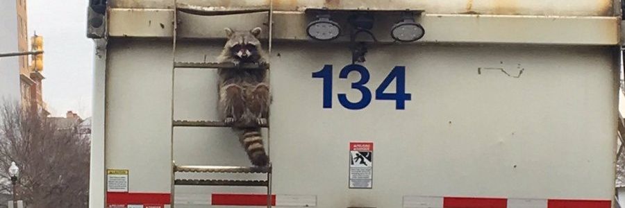 Эспих banner