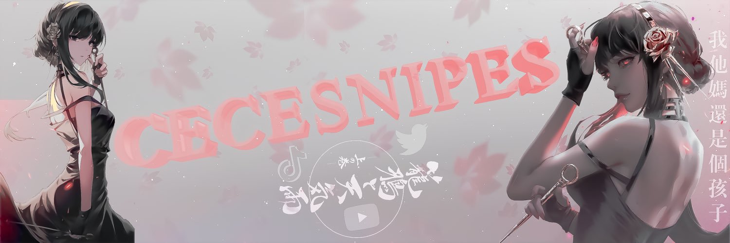 CeceSnipes's profile banner image