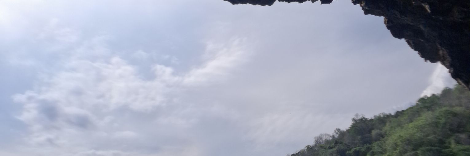 mlbaligs's profile banner image
