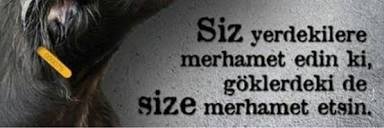 meteliksizz's profile banner image