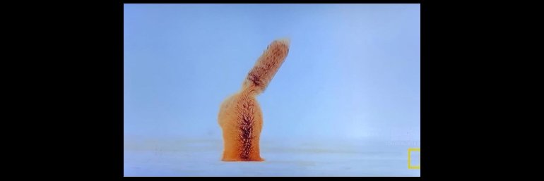 mvmariav's profile banner image