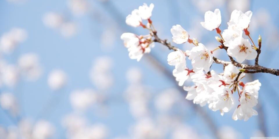 LiddoC's profile banner image