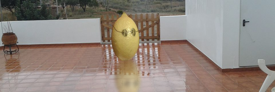 Random_FP's profile banner image