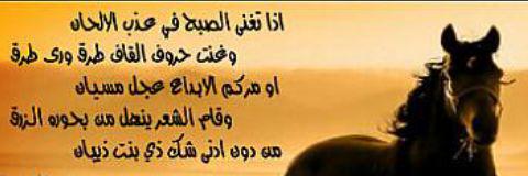alotibi234's profile banner image
