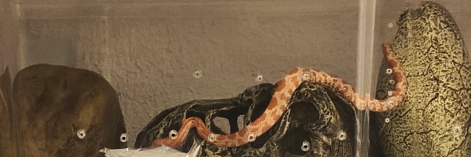 Dengo154's profile banner image