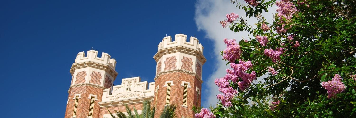 SupportFSU's profile banner image
