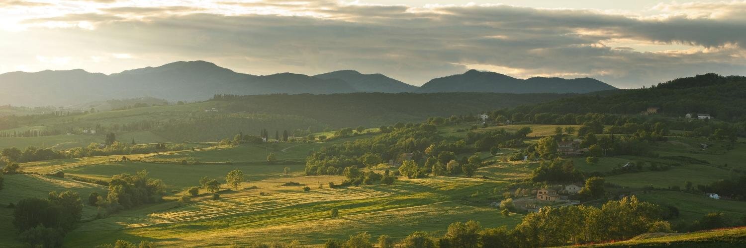 FedericoIgnesti's profile banner image