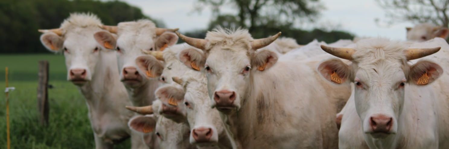 Interbev Centre - VL banner