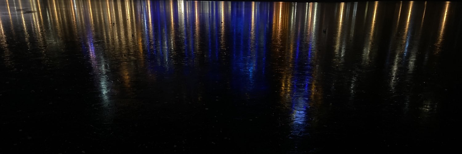 _fleaks's profile banner image