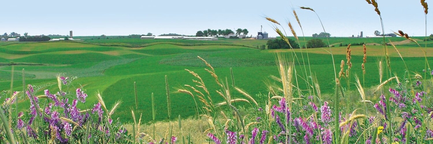 Useful 2 Usable banner