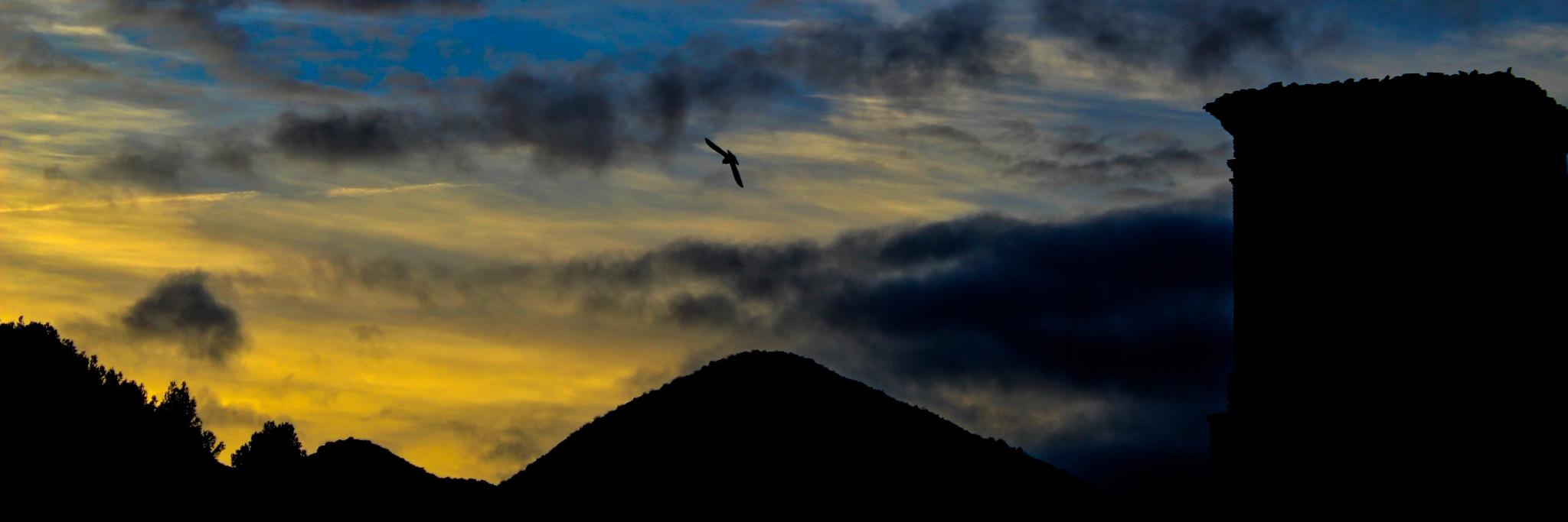 marcomo80481573's profile banner image