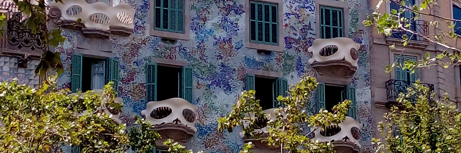 badgersvegankit's profile banner image