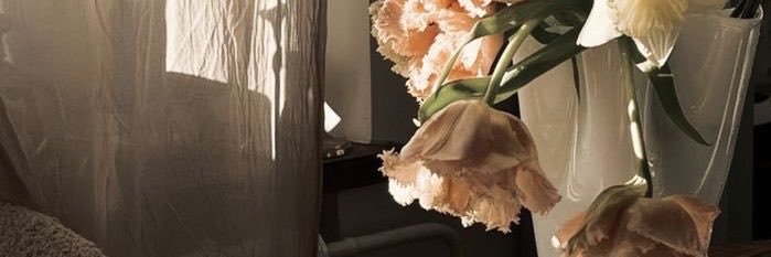 WonySwoon's profile banner image