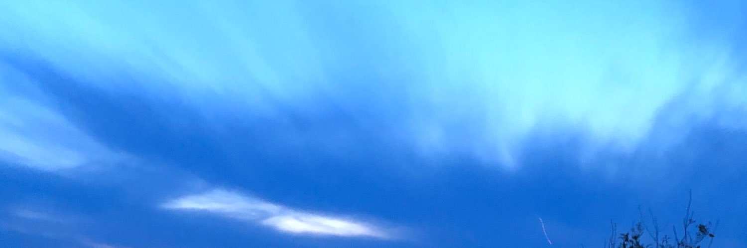 julescole_'s profile banner image