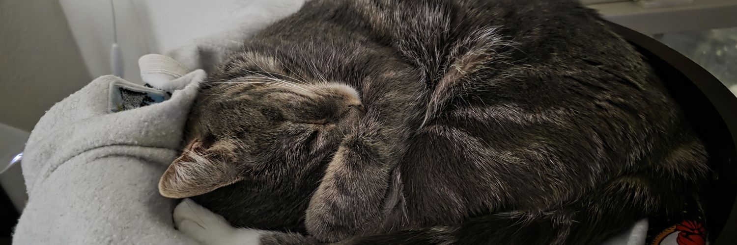 ToOrangyForJC's profile banner image