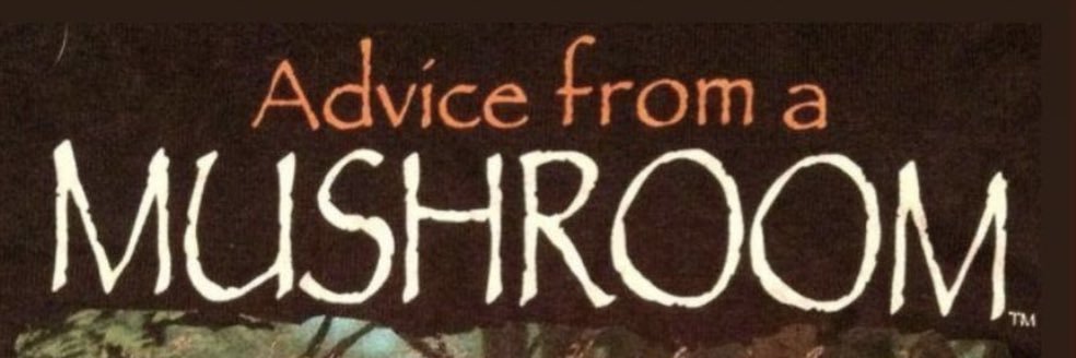kelsierichmond5's profile banner image