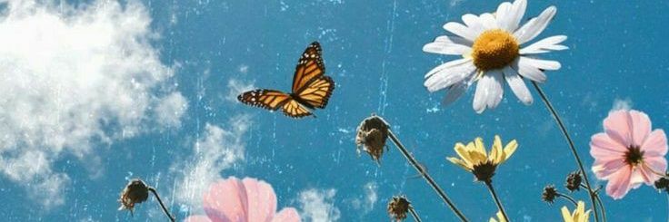 kayleechaffee's profile banner image