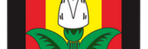 IMMALFATIH's profile banner image