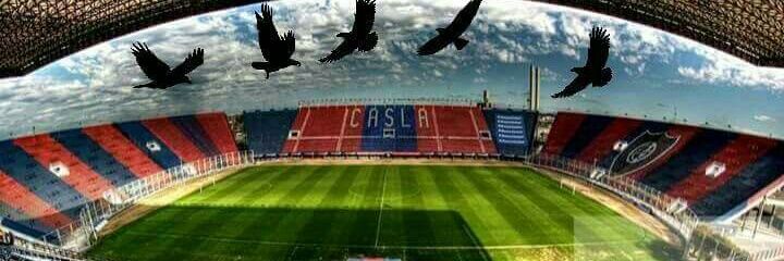 Mauro belmonte banner