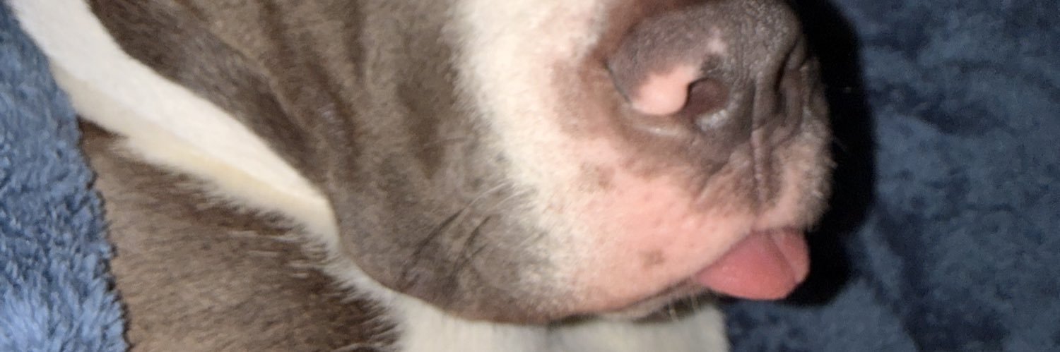 _abbyxxo's profile banner image