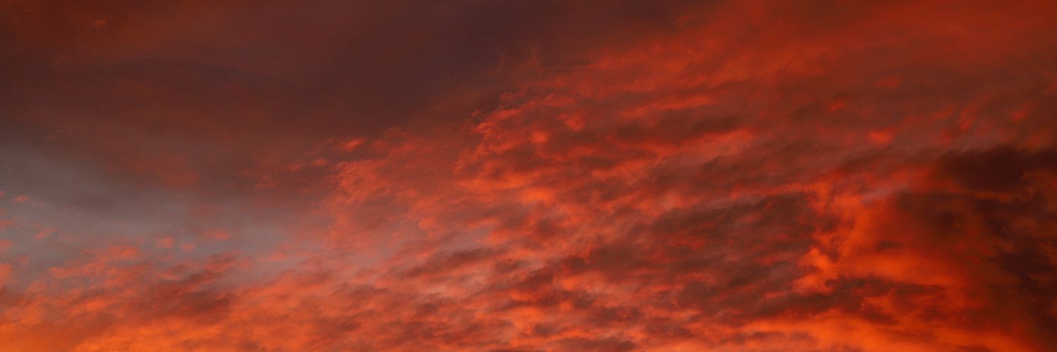 anameskhi's profile banner image