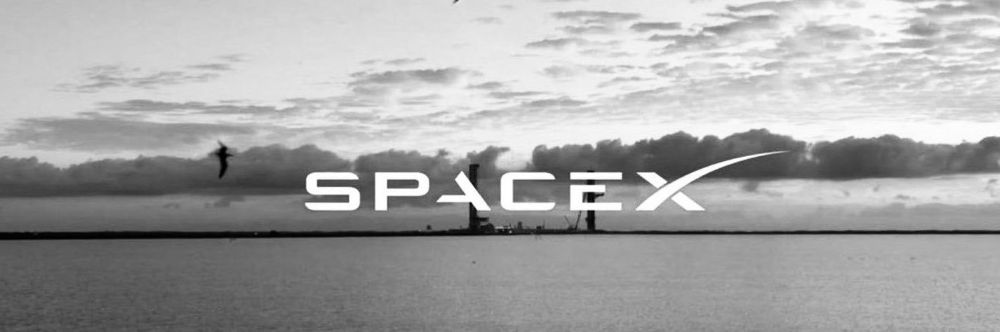 RocketDogeyj8's profile banner image