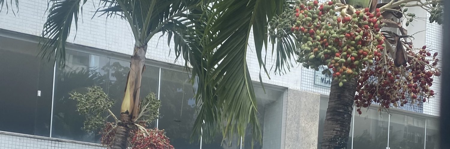 SilvinhaPipa's profile banner image