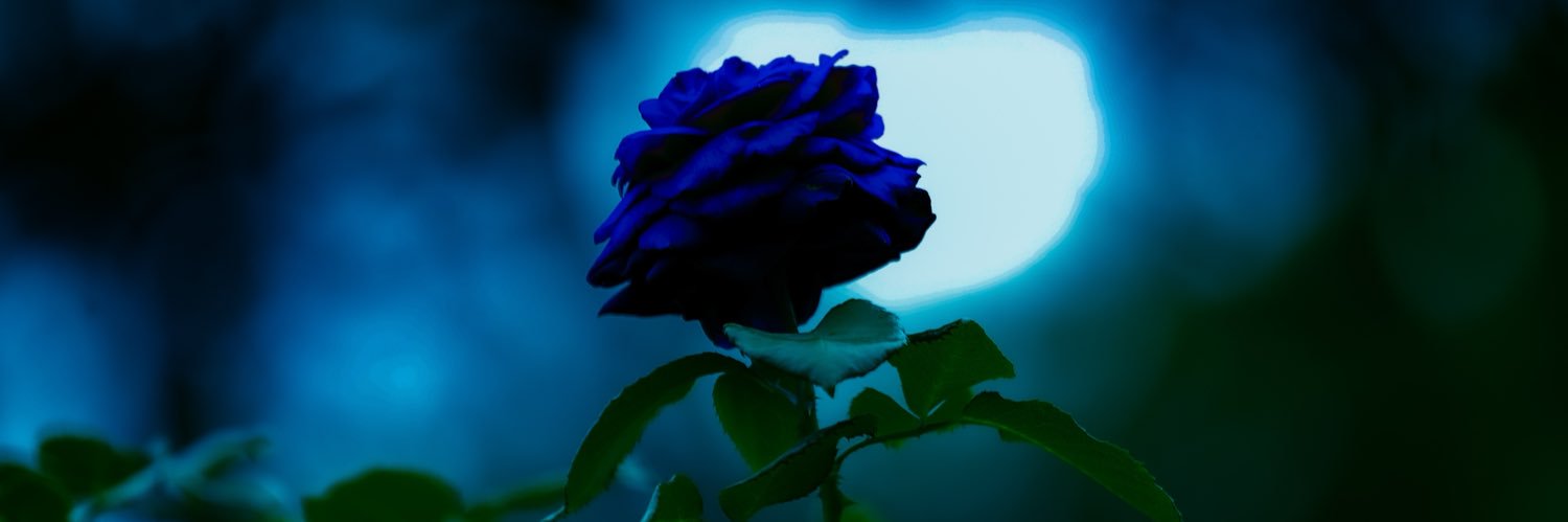 k5usg's profile banner image