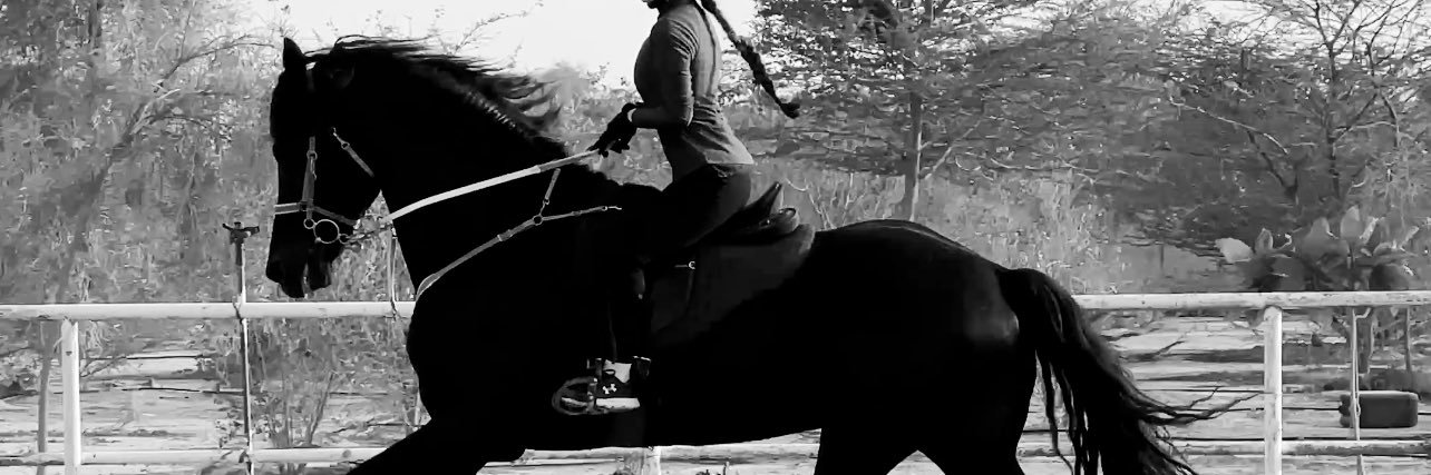 v banner