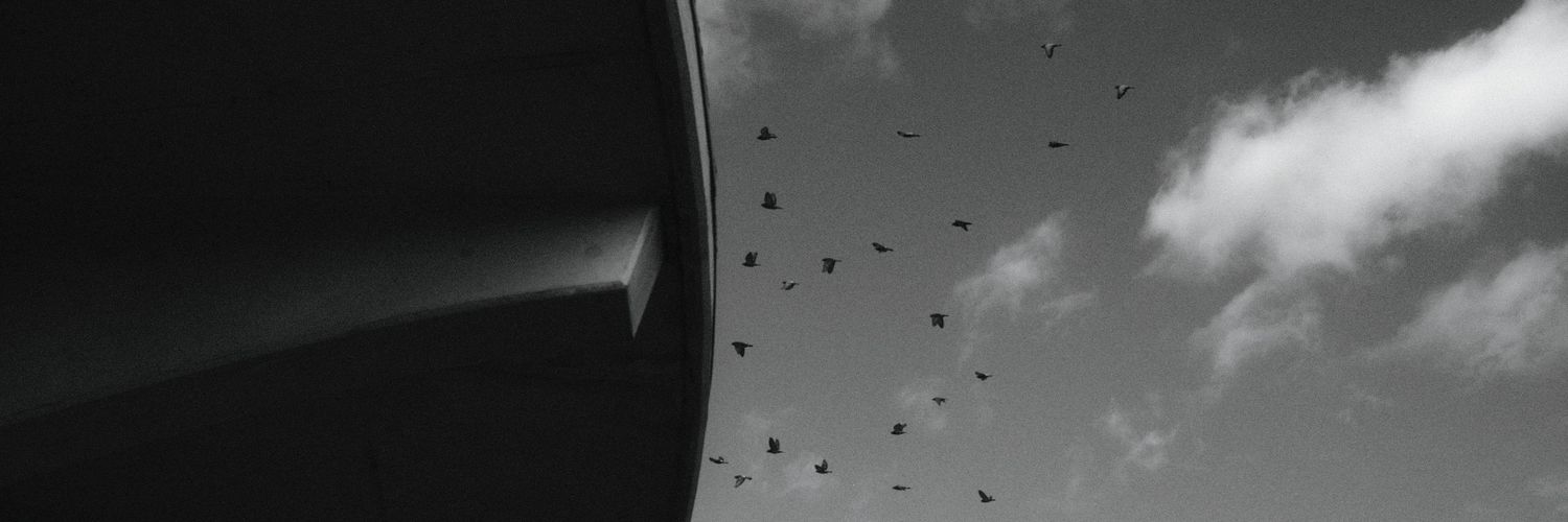 raidercrazy88's profile banner image