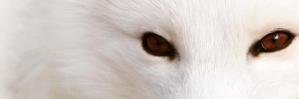 mooonming_lee's profile banner image